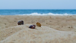 海灘,砂,海