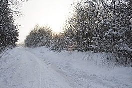 冬天,雪,冷