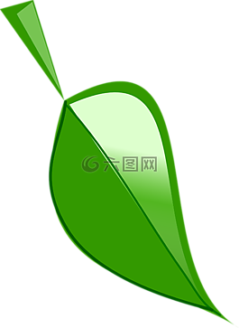 葉,綠色,自然