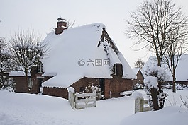 冬天,雪,冷