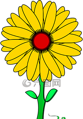 花,黃色雛菊,自然