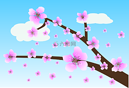 菲奧里,鮮花,春