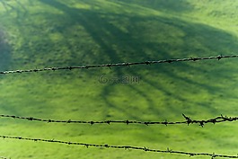性質(zhì),景觀,字段