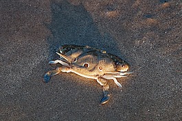 海,海洋,性質(zhì)