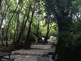埃爾梅內克,zeyve,游牧民族市場