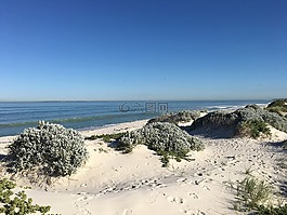 海灘,blouberg,非洲