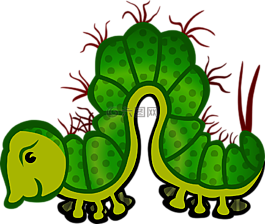 動物,毛蟲,昆蟲