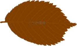 葉,棕色,秋天