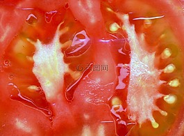 番茄,食品,健康