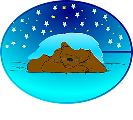 冬天睡眠,休眠狀態(tài),熊