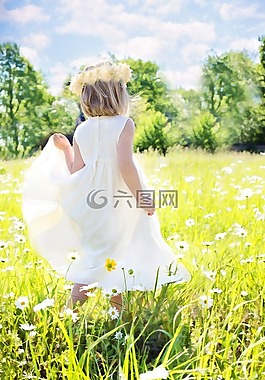 小女孩,雛菊,夏天
