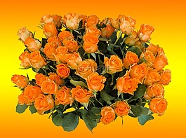 花束,生日花束,鮮花