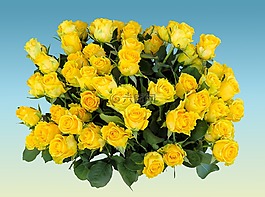 花束,生日花束,鮮花