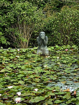 雕像,現(xiàn)實噴泉,水百合