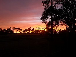 日出,橙色,側(cè)影