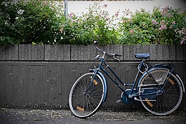 自行車(chē),老,輪