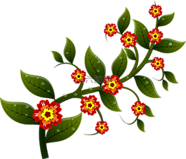 花,枝杈,自然