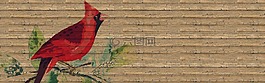 橫幅,標(biāo)頭,鳥