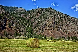 蒙大拿州,干草,山