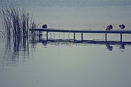 湖,性質(zhì),水