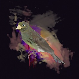 鳥,計(jì)算機(jī)的油漆,設(shè)計(jì)