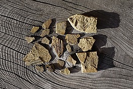 化石,白云巖,ladinia酒店