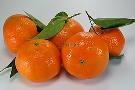 橘子,柑橘,柑橘類水果