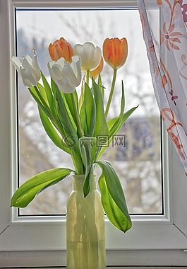 花,花瓶,廠