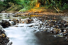 河,過(guò)獨(dú)身生活,水