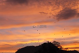 鳥,云,日落