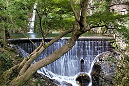 大瀑布,河,水