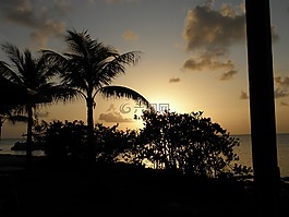 日落,浪漫,熱帶