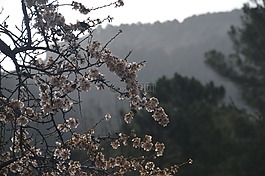 阿爾巴塞特,塞拉水,瀑布