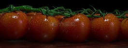 蕃茄,蔬菜,食品