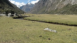 秘魯,谷,草原