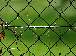 雨滴,滴,水滴