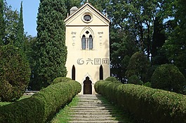 公園,徑,樹