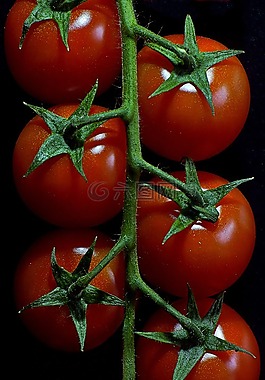 蕃茄,蔬菜,紅色