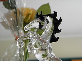 馬,玻璃,宏