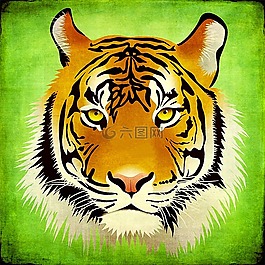虎,貓,動(dòng)物世界