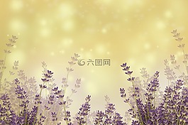 自然,季節,桌面