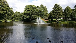 公園,池塘,噴泉