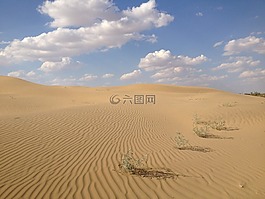沙漠,印度,性質(zhì)