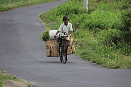 自行車,綠色,戶外