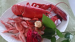 龍蝦,蝦,墊