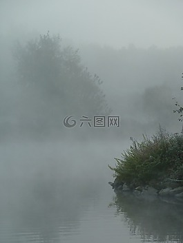 霧,河,神秘