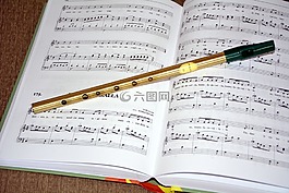 音樂,愛爾蘭長笛,音樂書