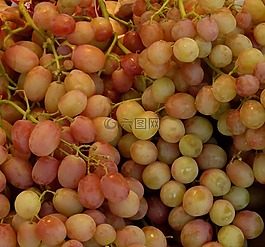 葡萄,甜,水果
