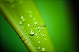 水滴,水,下降