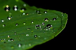 水滴,水,下降